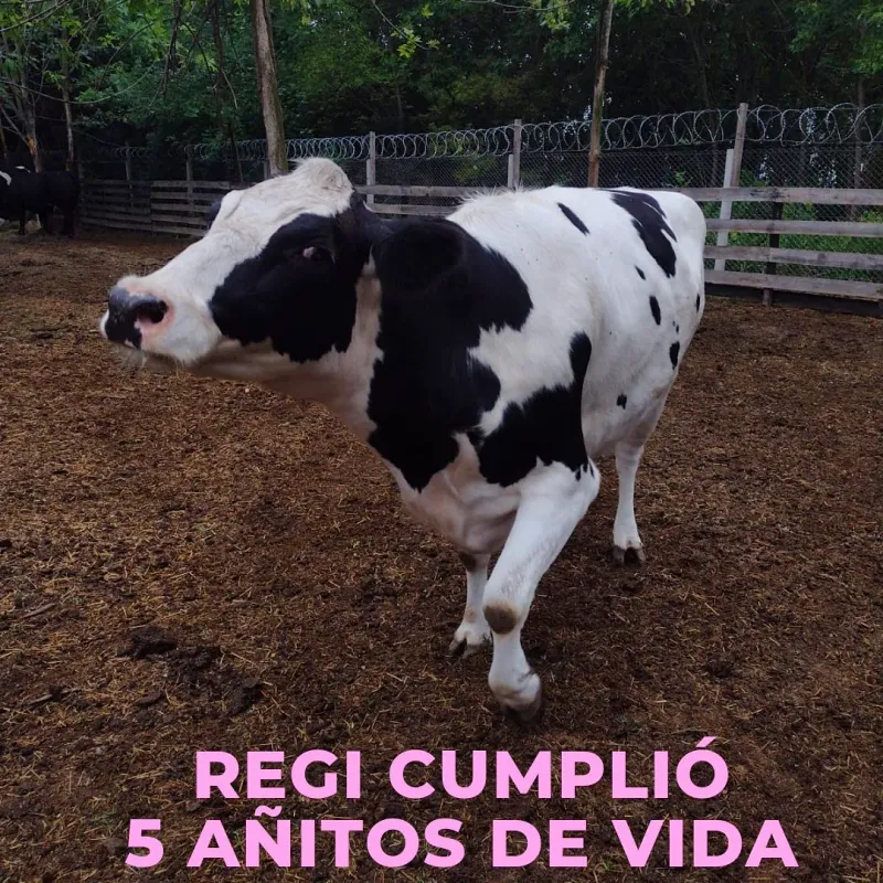 Vida en el santuario